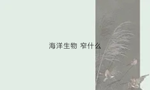 海洋生物 窄什么